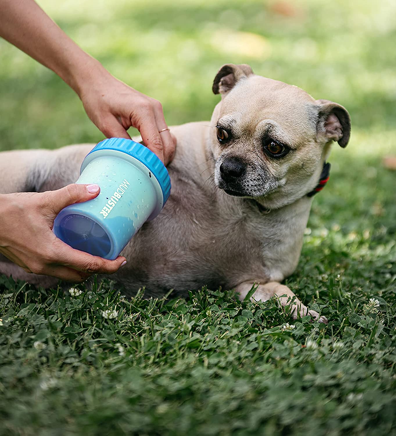 LIMPIADOR PORTÁTIL PARA PATAS